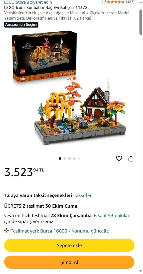 LEGO Icons Sonbahar Bağ Evi Bahçesi 11372