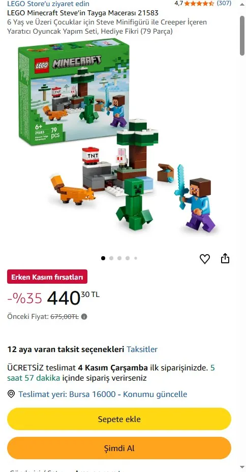 LEGO Minecraft Steve’in Tayga Macerası 21583