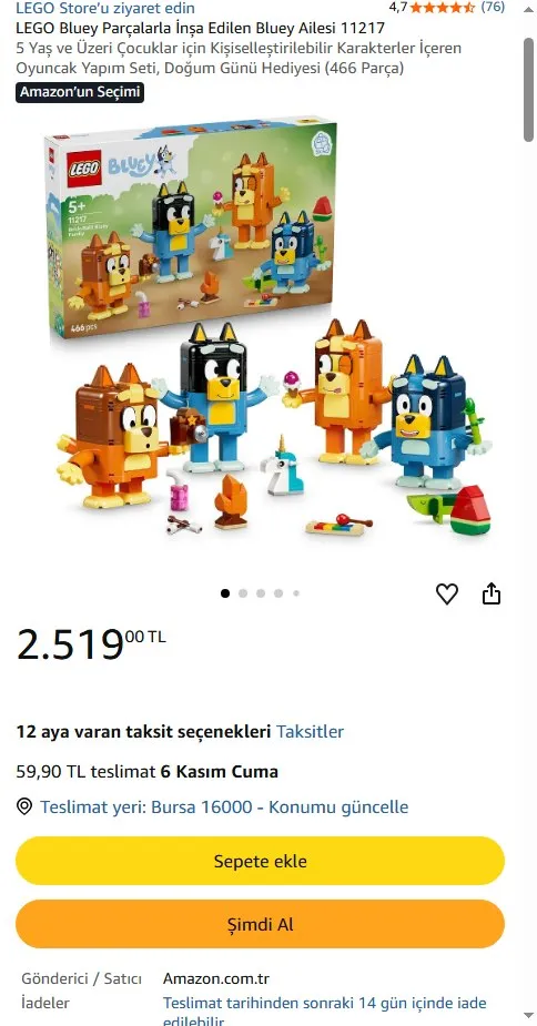LEGO Bluey Parçalarla İnşa Edilen Bluey Ailesi 11217